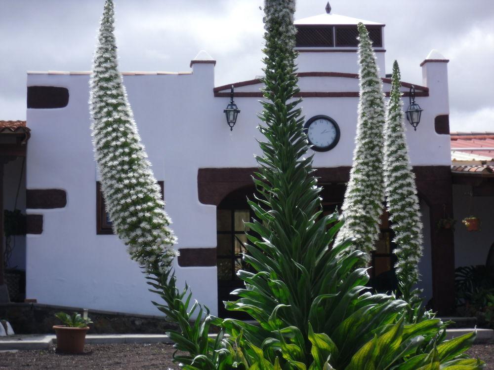 Finca El Picacho Otel Valle de Guerra Dış mekan fotoğraf